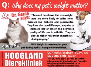 Hoogland Dierekliniek