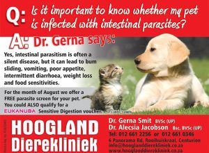 Hoogland Dierekliniek