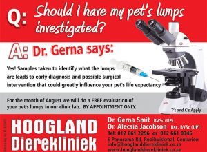Hoogland Dierekliniek