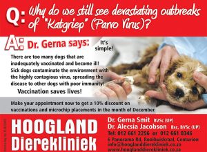 Hoogland Dierekliniek