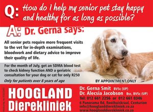 Hoogland Dierekliniek