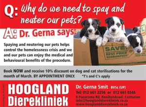 Hoogland Dierekliniek