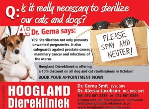Hoogland Dierekliniek