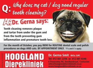 Hoogland Dierekliniek